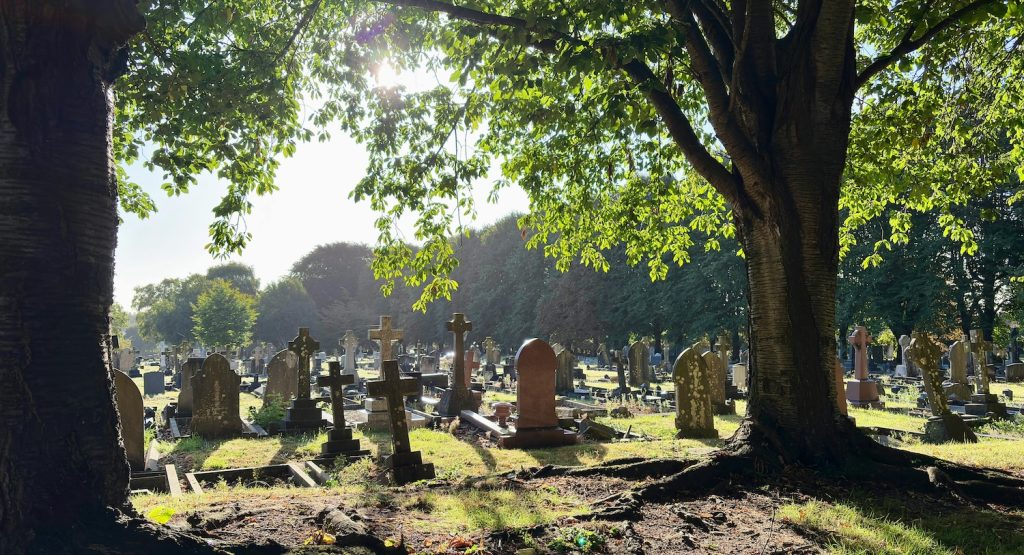 A graveyard, representing a certified copy of a San Francisco County death certificate
